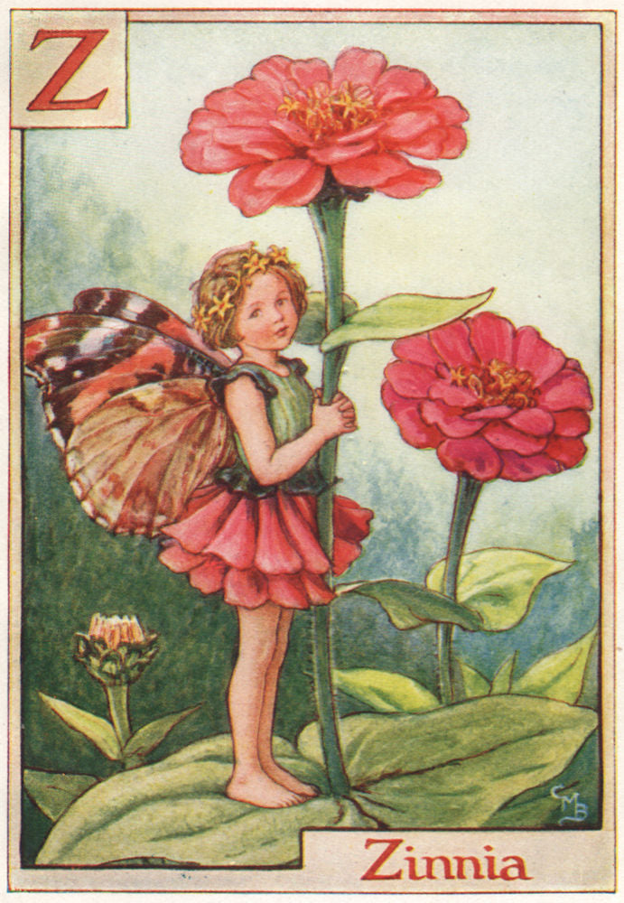 Z = Zinnia Fairy by Cicely Mary Barker. Alphabet Flower Fairies c1934 print